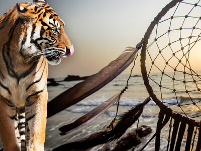 Grafik-Montage zu Schamanischen Reisen zeigt einen Tiger als Krafttier und einen Traumfänger